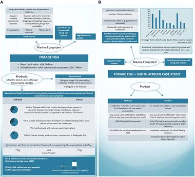 A Cursory Look at the Fishmeal/Oil Industry From an Ecosystem Perspective